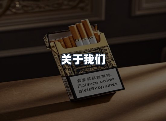关于我们